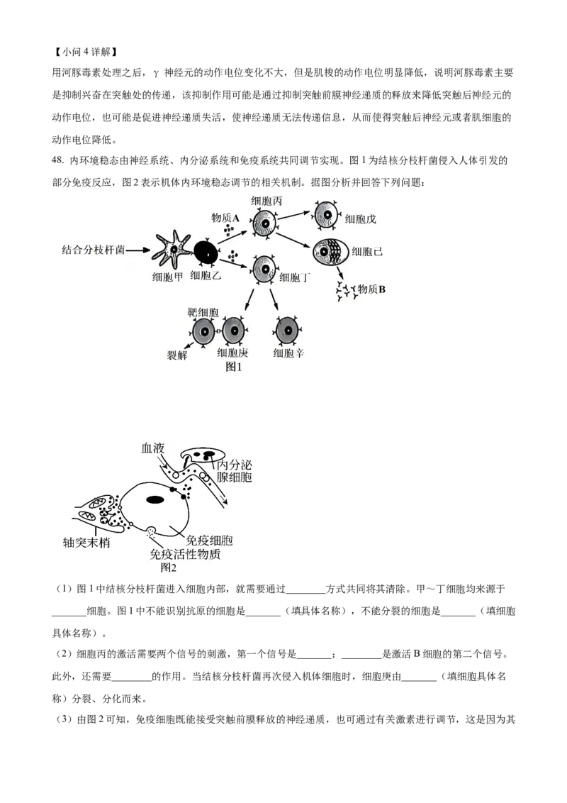 黑龙江省哈尔滨市第九中学校2025-2026学年高二上学期期中生物试题Word版含解析_251219黑龙江省哈尔滨市第九中学2025-2026学年高二上学期期中考试（全）