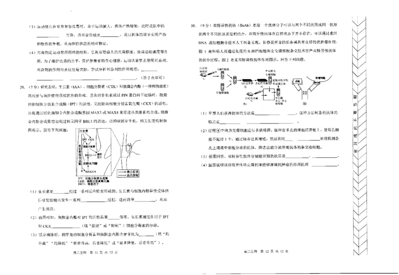 高二生物_2024-2025高二（7-7月题库）_2024年07月试卷_0724内蒙古自治区赤峰市2023-2024学年高二下学期7月期末考试_内蒙古自治区赤峰市2023-2024学年高二下学期7月期末生物试题