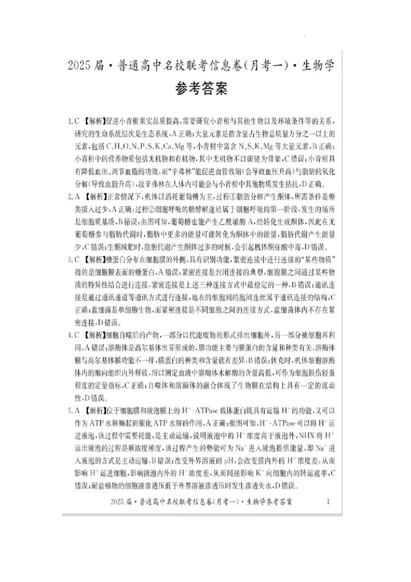 湖南省娄底市名校联考11月信息卷（月考一）生物答案_2024-2025高三（6-6月题库）_2024年11月试卷_1113湖南省娄底市名校联考2024-2025学年高三上学期月考（一）（全科）