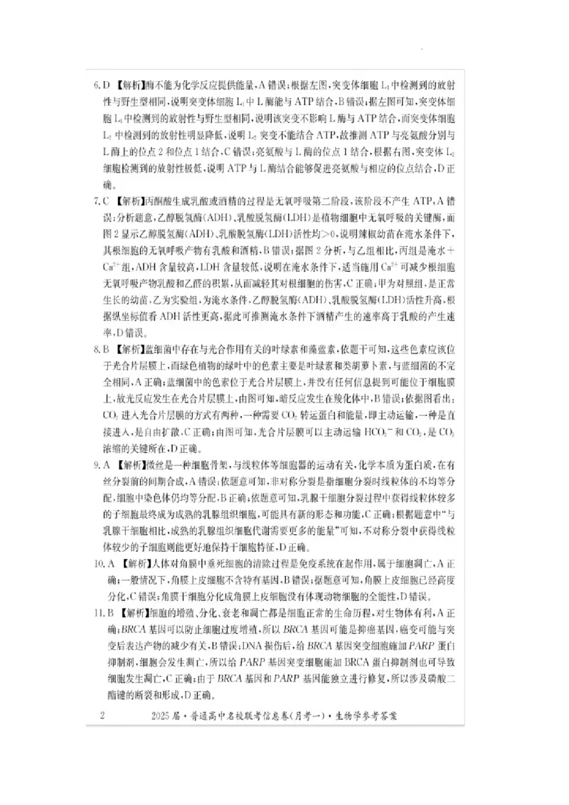湖南省娄底市名校联考11月信息卷（月考一）生物答案_2024-2025高三（6-6月题库）_2024年11月试卷_1113湖南省娄底市名校联考2024-2025学年高三上学期月考（一）（全科）