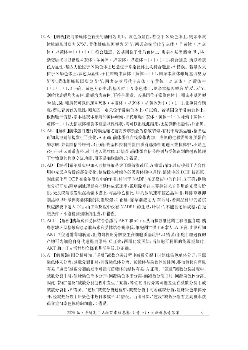 湖南省娄底市名校联考11月信息卷（月考一）生物答案_2024-2025高三（6-6月题库）_2024年11月试卷_1113湖南省娄底市名校联考2024-2025学年高三上学期月考（一）（全科）