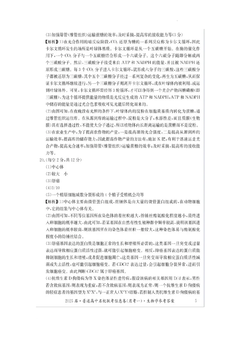 湖南省娄底市名校联考11月信息卷（月考一）生物答案_2024-2025高三（6-6月题库）_2024年11月试卷_1113湖南省娄底市名校联考2024-2025学年高三上学期月考（一）（全科）
