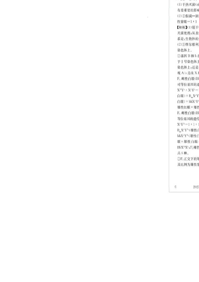 湖南省娄底市名校联考11月信息卷（月考一）生物答案_2024-2025高三（6-6月题库）_2024年11月试卷_1113湖南省娄底市名校联考2024-2025学年高三上学期月考（一）（全科）