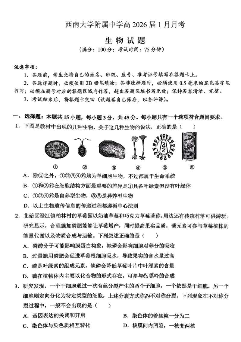 重庆西南大学附属中学高2026届高三1月定时检测（一诊）生物_2024-2026高三（6-6月题库）_2026年01月高三试卷_0111重庆西南大学附属中学高2026届高三1月定时检测（一诊）（全）