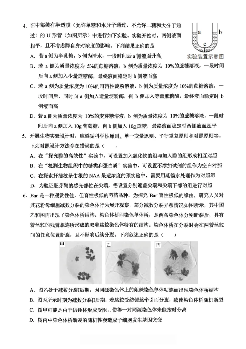 重庆西南大学附属中学高2026届高三1月定时检测（一诊）生物_2024-2026高三（6-6月题库）_2026年01月高三试卷_0111重庆西南大学附属中学高2026届高三1月定时检测（一诊）（全）