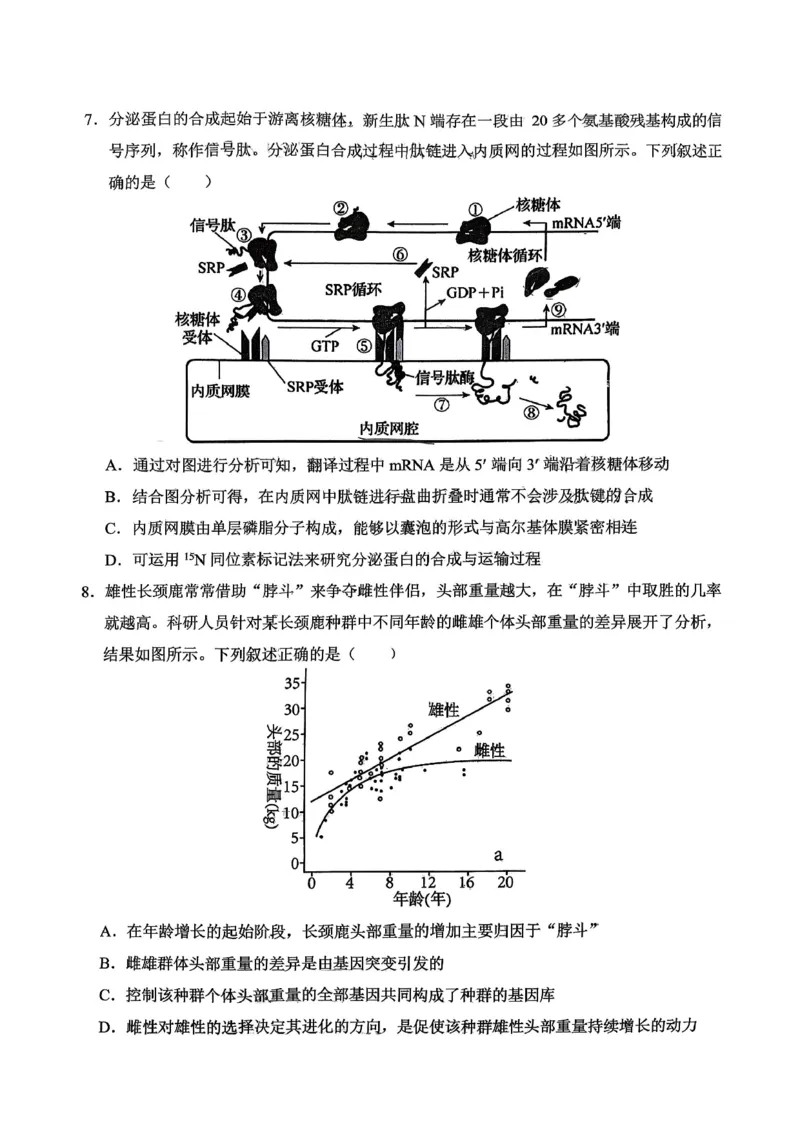 重庆西南大学附属中学高2026届高三1月定时检测（一诊）生物_2024-2026高三（6-6月题库）_2026年01月高三试卷_0111重庆西南大学附属中学高2026届高三1月定时检测（一诊）（全）