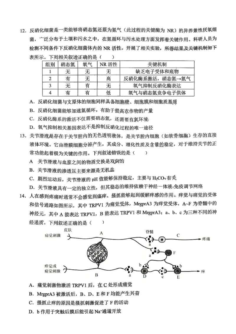 重庆西南大学附属中学高2026届高三1月定时检测（一诊）生物_2024-2026高三（6-6月题库）_2026年01月高三试卷_0111重庆西南大学附属中学高2026届高三1月定时检测（一诊）（全）