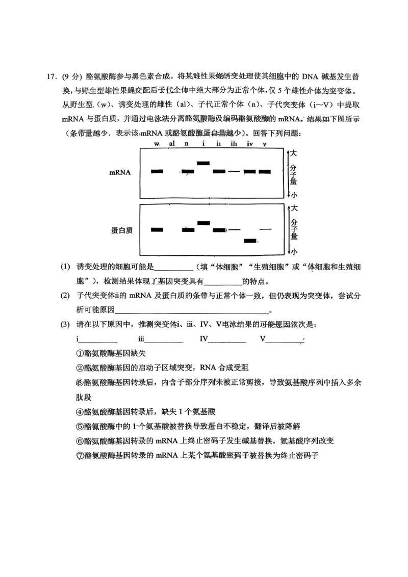 重庆西南大学附属中学高2026届高三1月定时检测（一诊）生物_2024-2026高三（6-6月题库）_2026年01月高三试卷_0111重庆西南大学附属中学高2026届高三1月定时检测（一诊）（全）