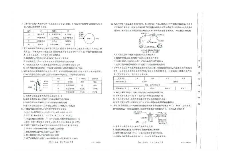 生物试题_2024-2025高二（7-7月题库）_2024年12月试卷_1203河南省金太阳2024-2025学年高二期中联考