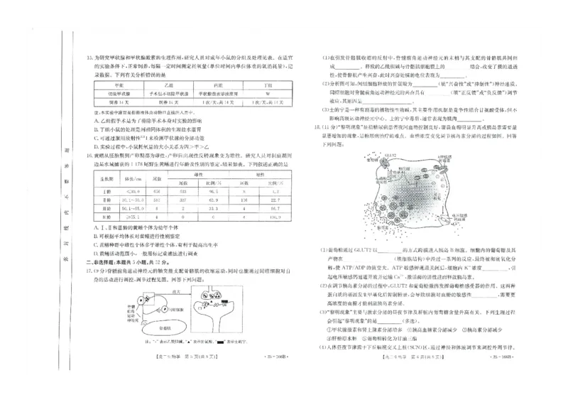 生物试题_2024-2025高二（7-7月题库）_2024年12月试卷_1203河南省金太阳2024-2025学年高二期中联考