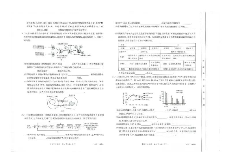 生物试题_2024-2025高二（7-7月题库）_2024年12月试卷_1203河南省金太阳2024-2025学年高二期中联考