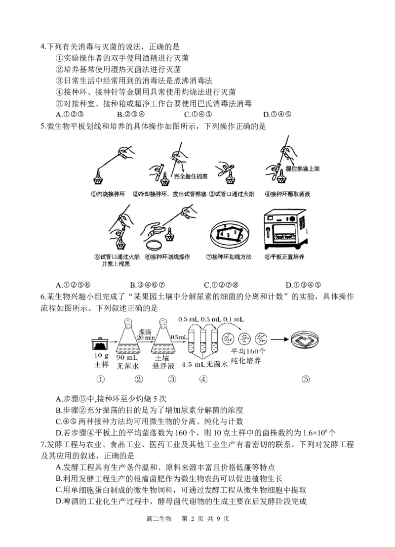 生物试题_2024-2025高二（7-7月题库）_2025年05月试卷_0519四川省遂宁市射洪中学2024-2025学年高二下学期期中考试_四川省遂宁市射洪中学2024-2025学年高二下学期期中考试生物试题（含答案）