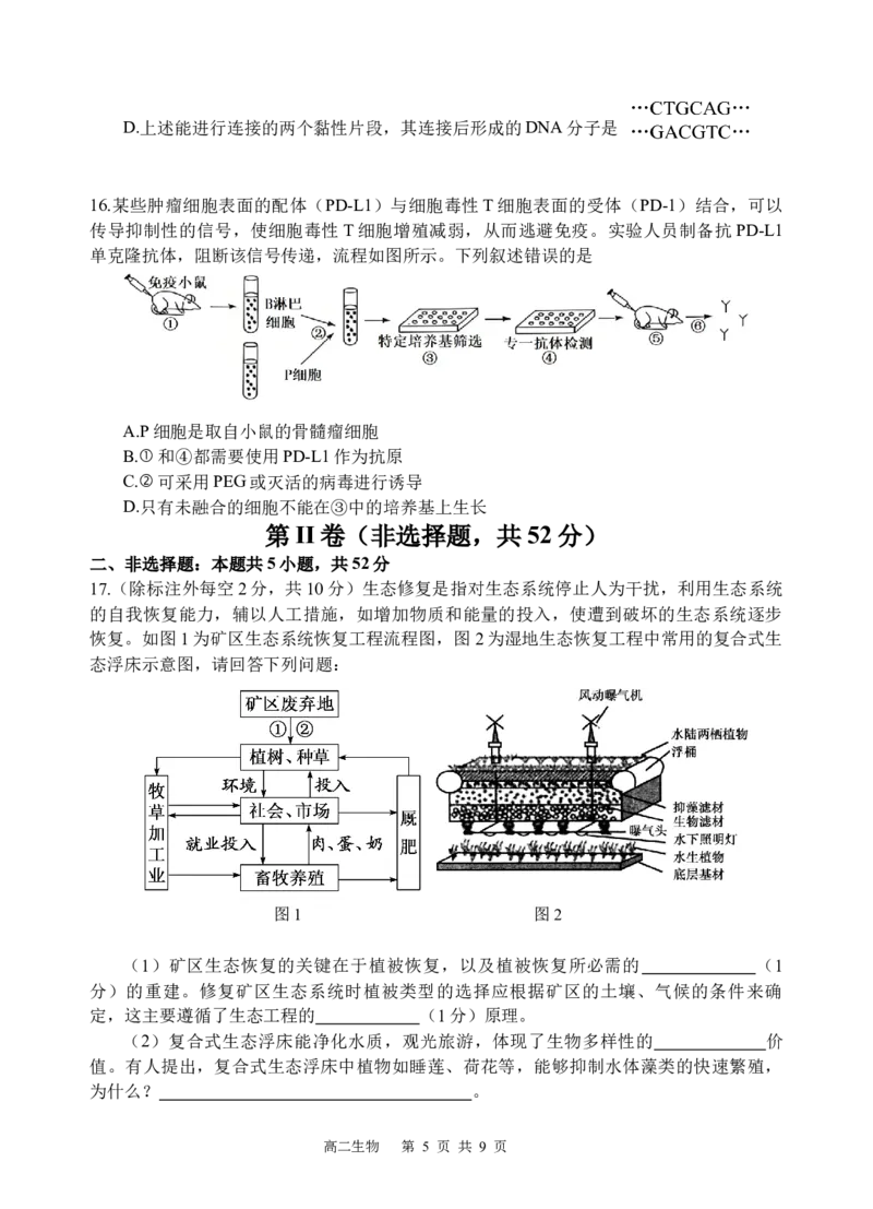 生物试题_2024-2025高二（7-7月题库）_2025年05月试卷_0519四川省遂宁市射洪中学2024-2025学年高二下学期期中考试_四川省遂宁市射洪中学2024-2025学年高二下学期期中考试生物试题（含答案）