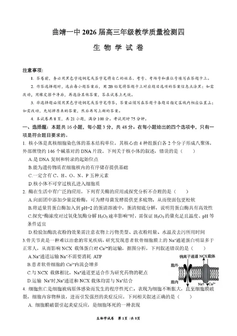 曲靖市第一中学2026届高三上学期教学质量检测四生物_2024-2026高三（6-6月题库）_2026年01月高三试卷_0103云南省曲靖市第一中学2026届高三上学期教学质量检测四