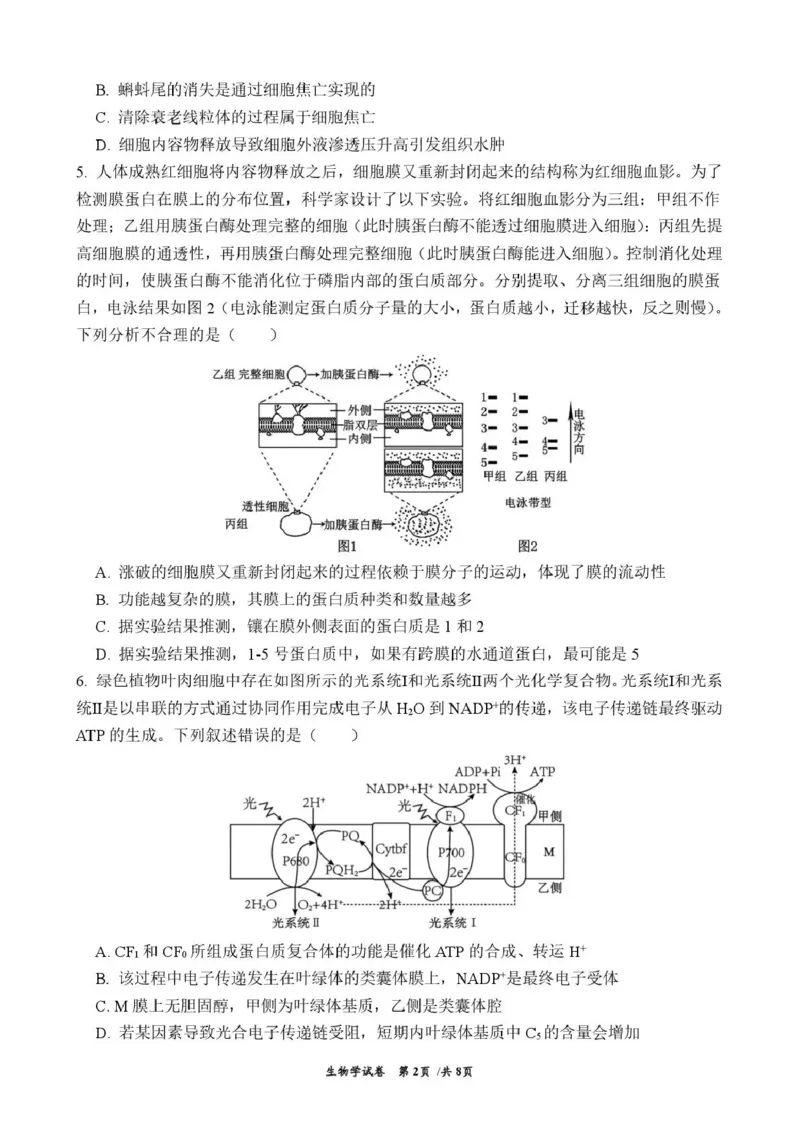曲靖市第一中学2026届高三上学期教学质量检测四生物_2024-2026高三（6-6月题库）_2026年01月高三试卷_0103云南省曲靖市第一中学2026届高三上学期教学质量检测四