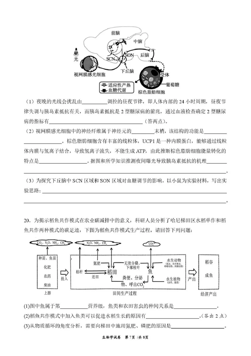 曲靖市第一中学2026届高三上学期教学质量检测四生物_2024-2026高三（6-6月题库）_2026年01月高三试卷_0103云南省曲靖市第一中学2026届高三上学期教学质量检测四