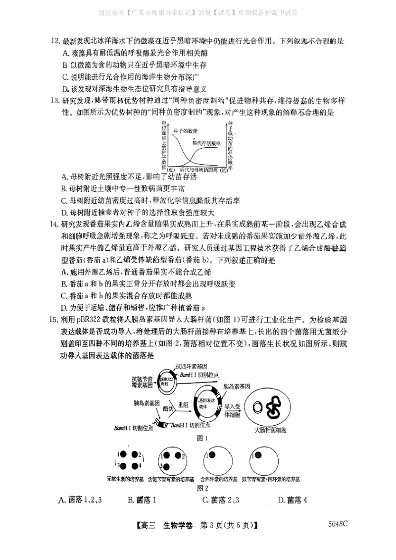 清远一模生物试卷_2024-2025高三（6-6月题库）_2024年10月试卷_1024广东省清远市2024-2025学年高三上学期一模考试（5048C）_广东省清远市2024-2025学年高三上学期第一次模拟考试生物