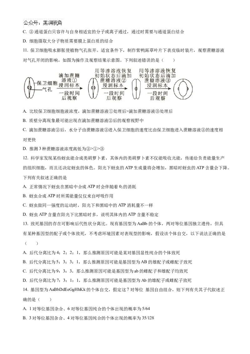 重庆市重庆市重庆乌江新高考协作体2024-2025学年高三上学期10月月考生物试题Word版无答案_2024-2025高三（6-6月题库）_2024年10月试卷