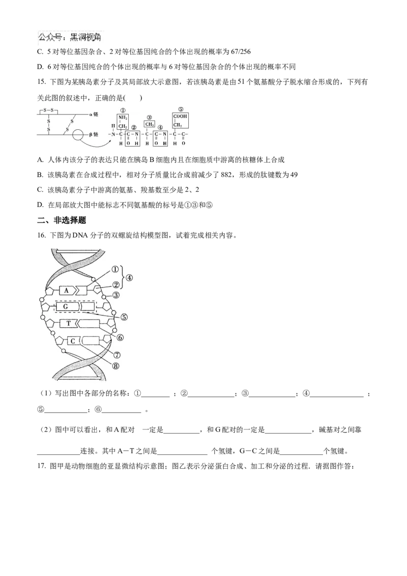 重庆市重庆市重庆乌江新高考协作体2024-2025学年高三上学期10月月考生物试题Word版无答案_2024-2025高三（6-6月题库）_2024年10月试卷