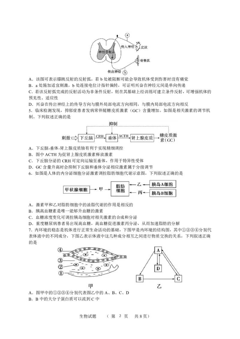 江苏省宿迁中学2025-2026学年高二上学期10月份调研测试生物试题_2025年11月高二试卷_251106江苏省宿迁市宿迁中学2025&mdash;2026学年高二上学期10月调研测试