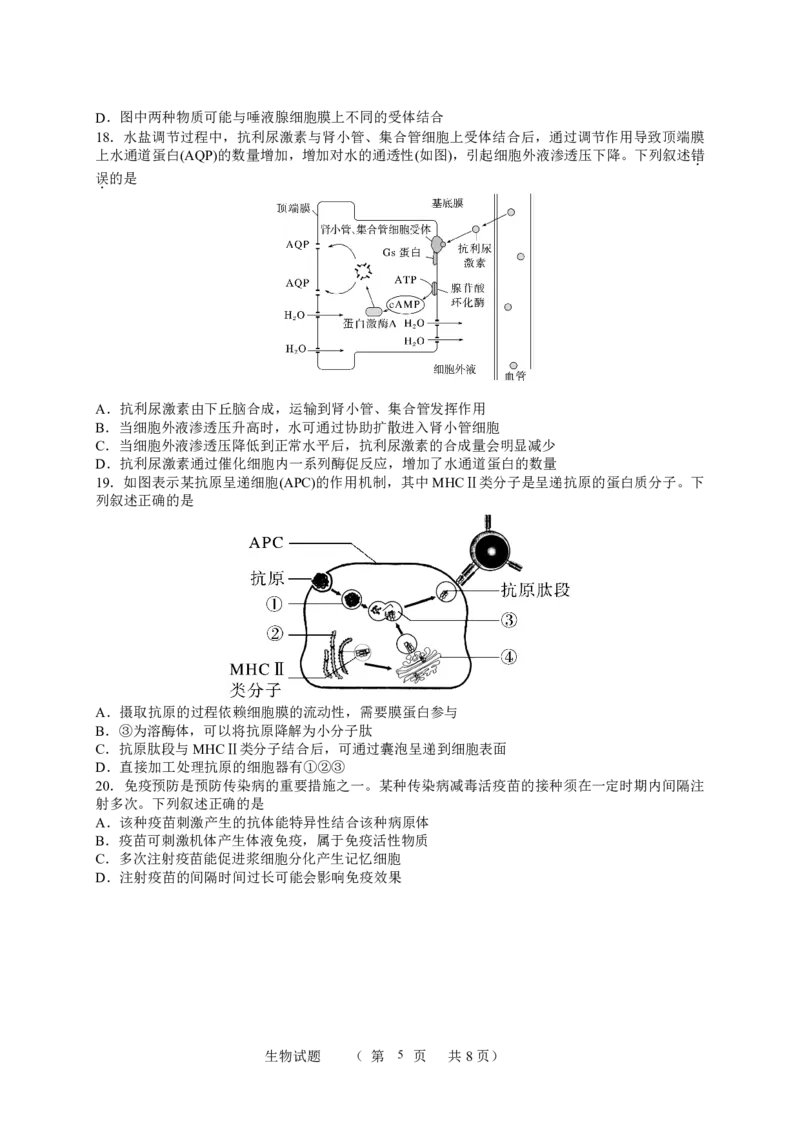 江苏省宿迁中学2025-2026学年高二上学期10月份调研测试生物试题_2025年11月高二试卷_251106江苏省宿迁市宿迁中学2025&mdash;2026学年高二上学期10月调研测试