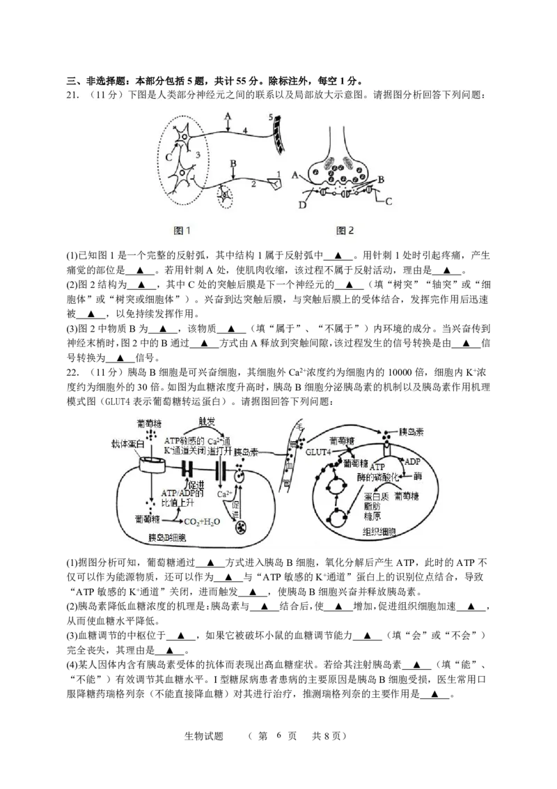 江苏省宿迁中学2025-2026学年高二上学期10月份调研测试生物试题_2025年11月高二试卷_251106江苏省宿迁市宿迁中学2025&mdash;2026学年高二上学期10月调研测试