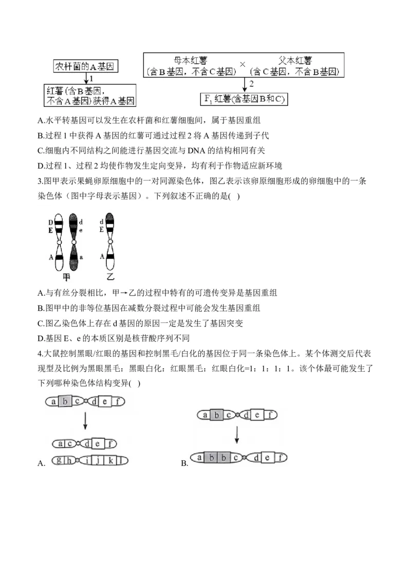 （13）生物的变异与育种&mdash;&mdash;高考生物二轮复习易错重难提升学案（含解析）_2024-2025高三（6-6月题库）_2026年1月高三_260104高考生物二轮复习易错重难提升（含解析）