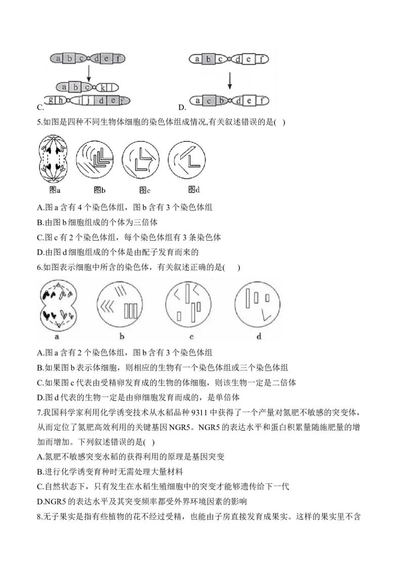 （13）生物的变异与育种&mdash;&mdash;高考生物二轮复习易错重难提升学案（含解析）_2024-2025高三（6-6月题库）_2026年1月高三_260104高考生物二轮复习易错重难提升（含解析）