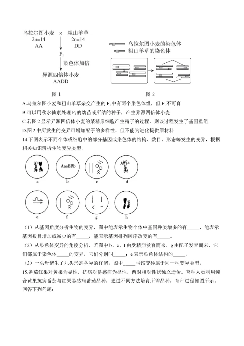 （13）生物的变异与育种&mdash;&mdash;高考生物二轮复习易错重难提升学案（含解析）_2024-2025高三（6-6月题库）_2026年1月高三_260104高考生物二轮复习易错重难提升（含解析）