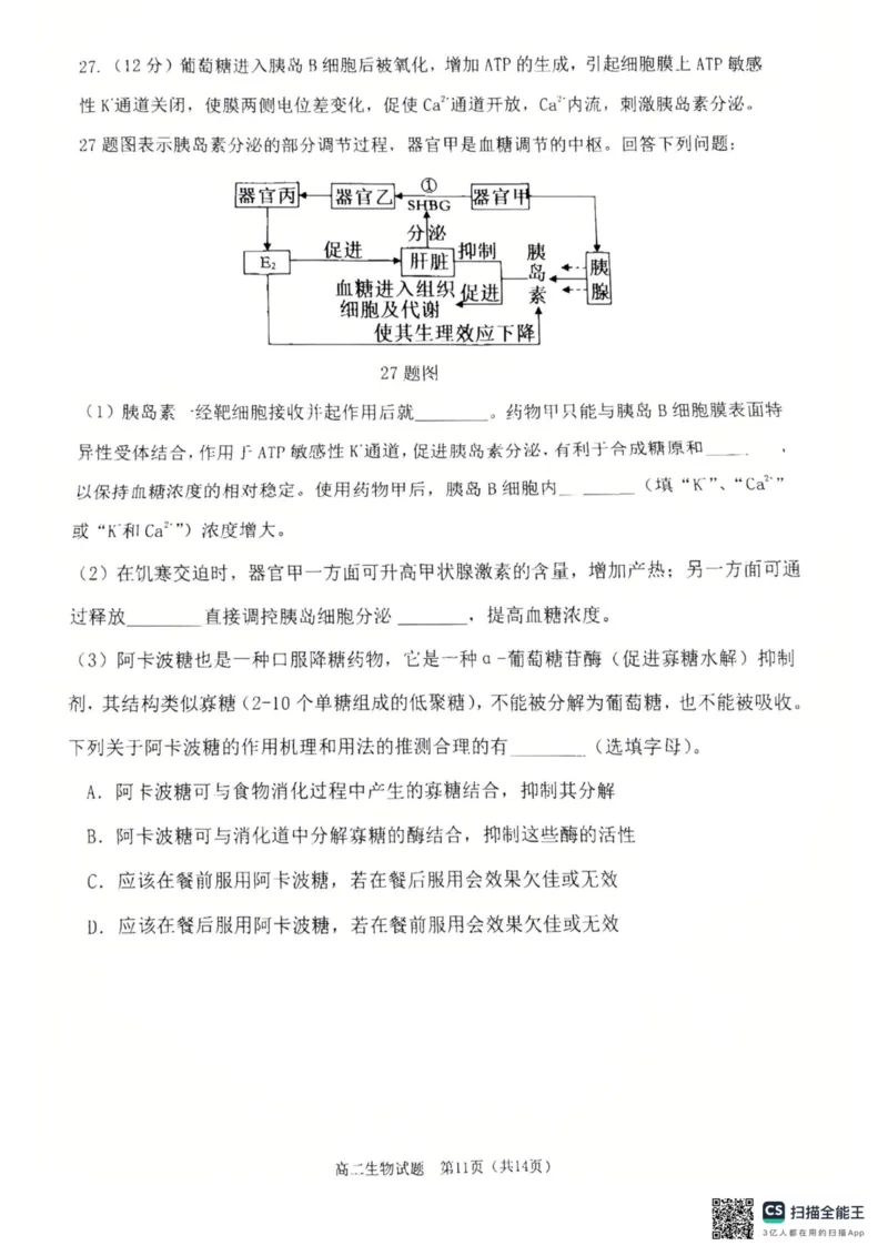 重庆主城区2026届七校联考生物试卷_2024-2025高二（7-7月题库）_2025年03月试卷_0313重庆市主城区七校联考2024-2025学年高二上学期期末考试