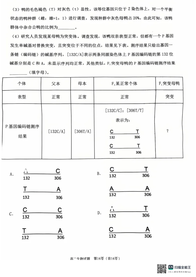 重庆主城区2026届七校联考生物试卷_2024-2025高二（7-7月题库）_2025年03月试卷_0313重庆市主城区七校联考2024-2025学年高二上学期期末考试