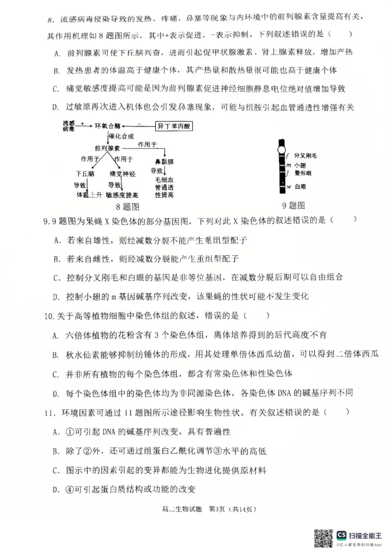 重庆主城区2026届七校联考生物试卷_2024-2025高二（7-7月题库）_2025年03月试卷_0313重庆市主城区七校联考2024-2025学年高二上学期期末考试