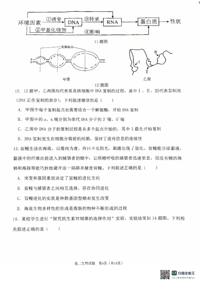 重庆主城区2026届七校联考生物试卷_2024-2025高二（7-7月题库）_2025年03月试卷_0313重庆市主城区七校联考2024-2025学年高二上学期期末考试