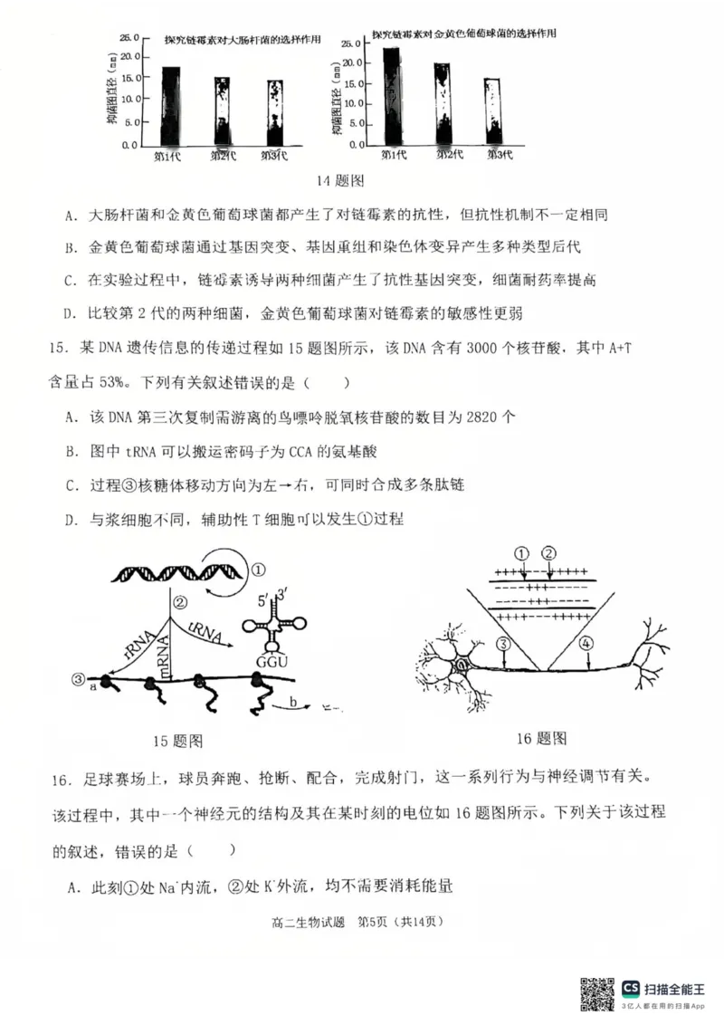 重庆主城区2026届七校联考生物试卷_2024-2025高二（7-7月题库）_2025年03月试卷_0313重庆市主城区七校联考2024-2025学年高二上学期期末考试