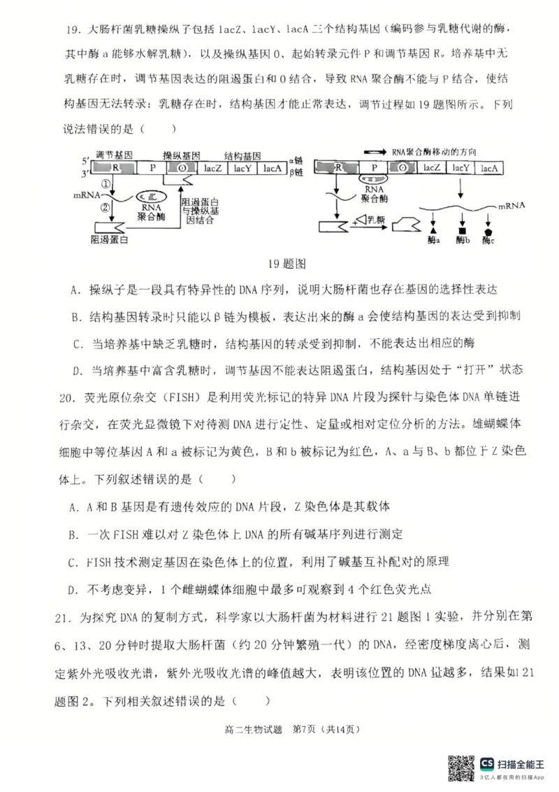 重庆主城区2026届七校联考生物试卷_2024-2025高二（7-7月题库）_2025年03月试卷_0313重庆市主城区七校联考2024-2025学年高二上学期期末考试