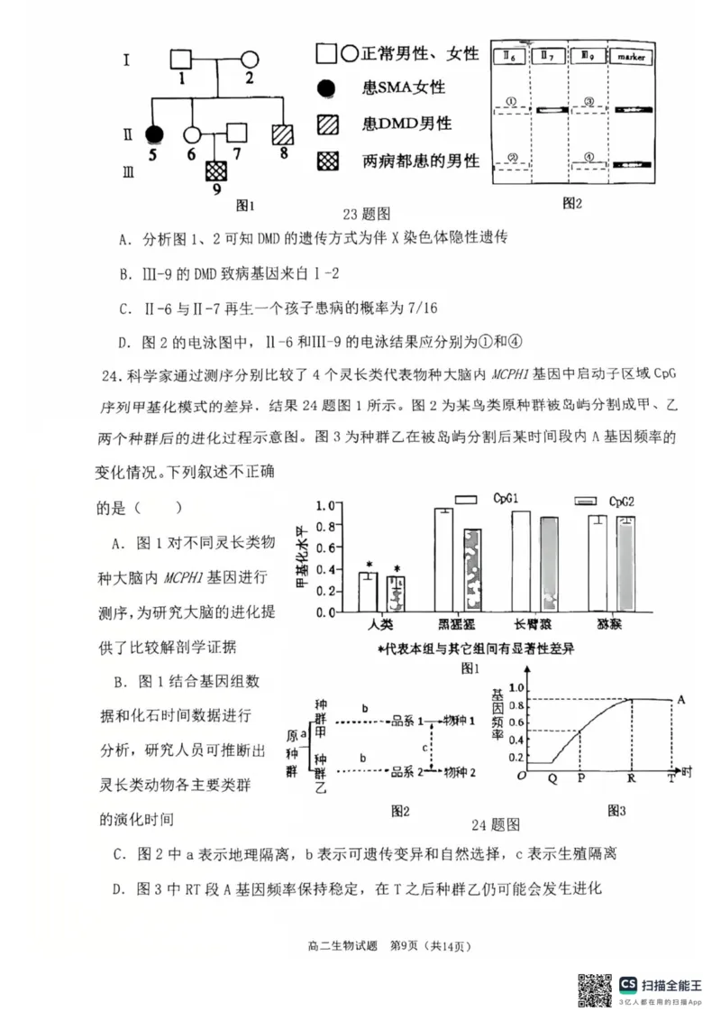 重庆主城区2026届七校联考生物试卷_2024-2025高二（7-7月题库）_2025年03月试卷_0313重庆市主城区七校联考2024-2025学年高二上学期期末考试