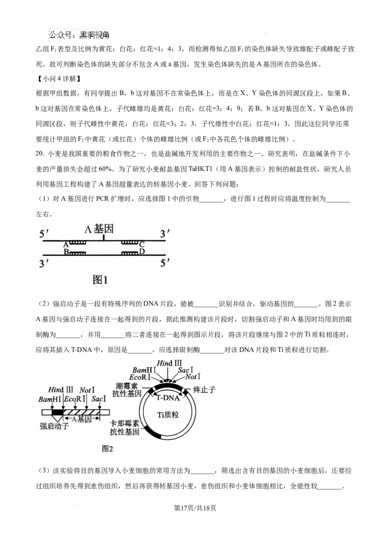 福建省福州第三中学2024-2025学年高三上学期10月月考生物答案_2024-2025高三（6-6月题库）_2024年10月试卷_1022福建省福州第三中学2024-2025学年高三上学期10月月考