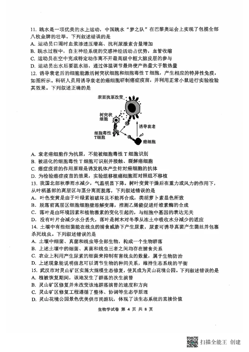 腾云联盟生物试卷_2024-2025高三（6-6月题库）_2024年10月试卷_1010湖北省&ldquo;腾&middot;云&rdquo;联盟2024-2025学年度上学期10月联考_8-生物