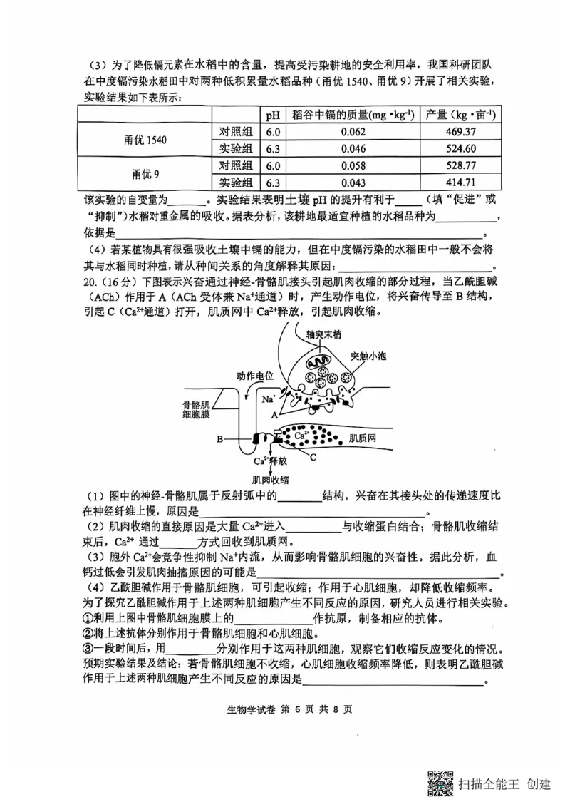 腾云联盟生物试卷_2024-2025高三（6-6月题库）_2024年10月试卷_1010湖北省&ldquo;腾&middot;云&rdquo;联盟2024-2025学年度上学期10月联考_8-生物