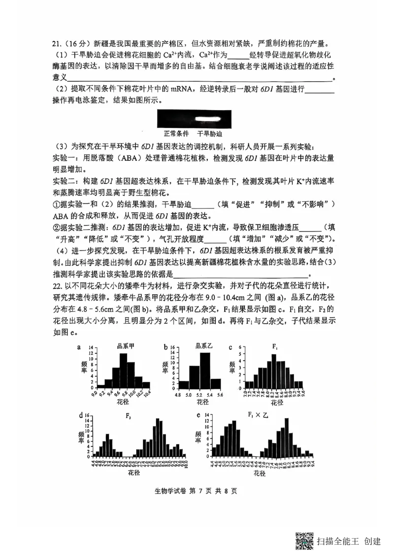 腾云联盟生物试卷_2024-2025高三（6-6月题库）_2024年10月试卷_1010湖北省&ldquo;腾&middot;云&rdquo;联盟2024-2025学年度上学期10月联考_8-生物