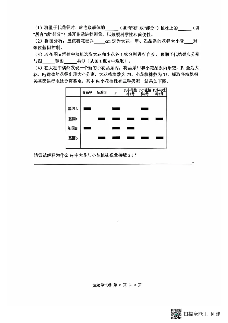 腾云联盟生物试卷_2024-2025高三（6-6月题库）_2024年10月试卷_1010湖北省&ldquo;腾&middot;云&rdquo;联盟2024-2025学年度上学期10月联考_8-生物