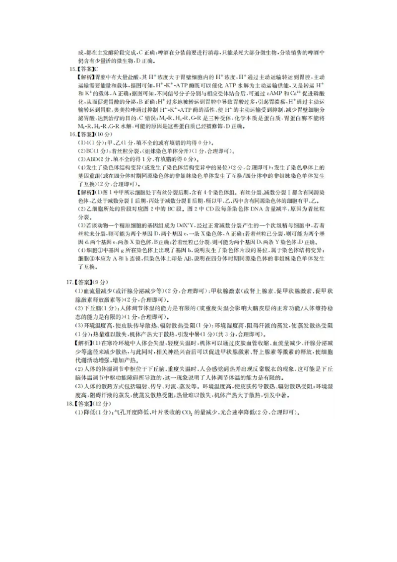 答案_2024-2025高三（6-6月题库）_2024年12月试卷_1201华大新高考联盟2025届高三11月教学质量测评（全科）_华大新高考联盟2025届高三11月教学质量测评生物