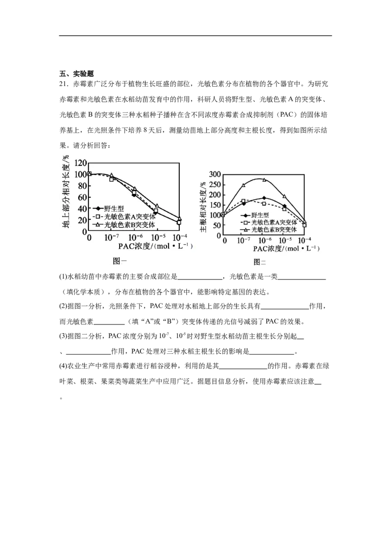 湖南省常德市汉寿县第一中学2025-2026学年高二上学期11月月考生物试题（含解析）_251213湖南省常德市汉寿县第一中学2025-2026学年高二上学期11月期中
