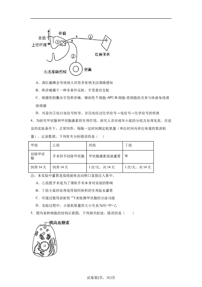 湖南省常德市汉寿县第一中学2025-2026学年高二上学期11月月考生物试题（含解析）_251213湖南省常德市汉寿县第一中学2025-2026学年高二上学期11月期中