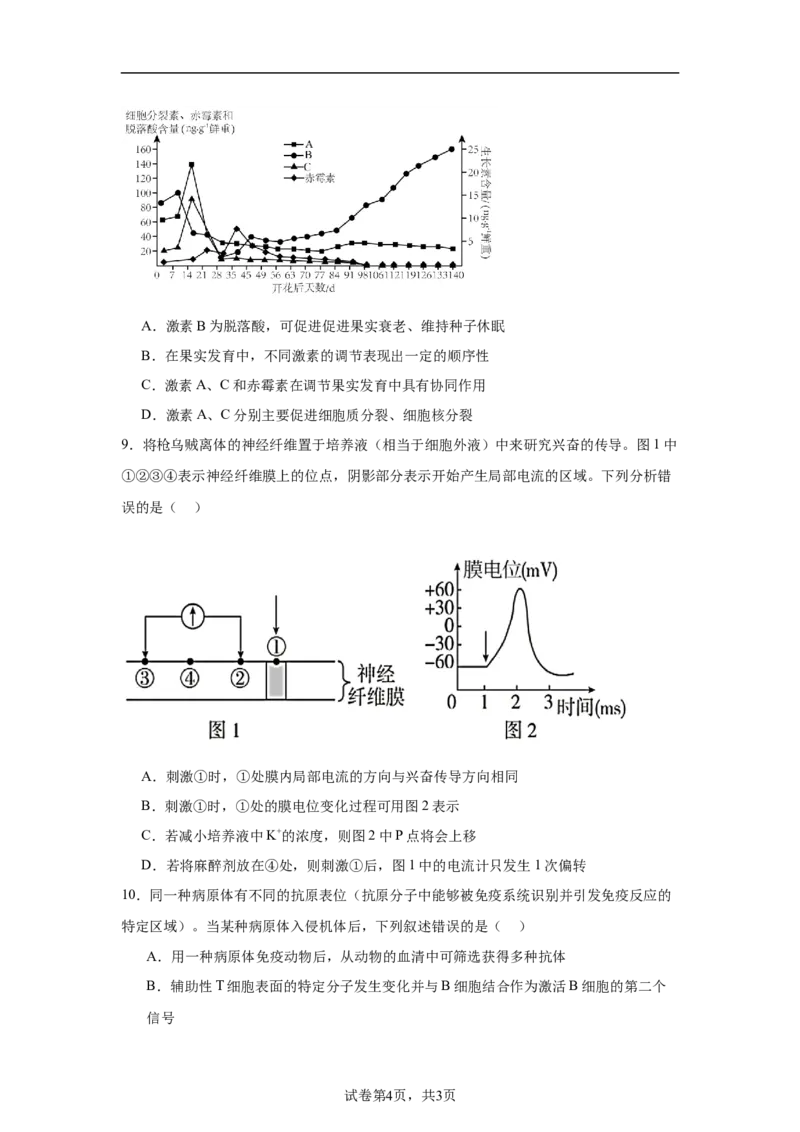 湖南省常德市汉寿县第一中学2025-2026学年高二上学期11月月考生物试题（含解析）_251213湖南省常德市汉寿县第一中学2025-2026学年高二上学期11月期中