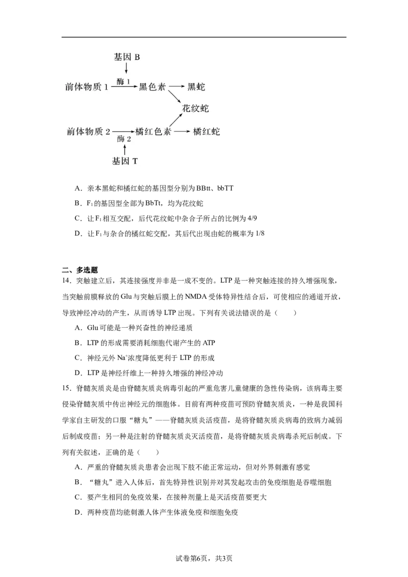 湖南省常德市汉寿县第一中学2025-2026学年高二上学期11月月考生物试题（含解析）_251213湖南省常德市汉寿县第一中学2025-2026学年高二上学期11月期中