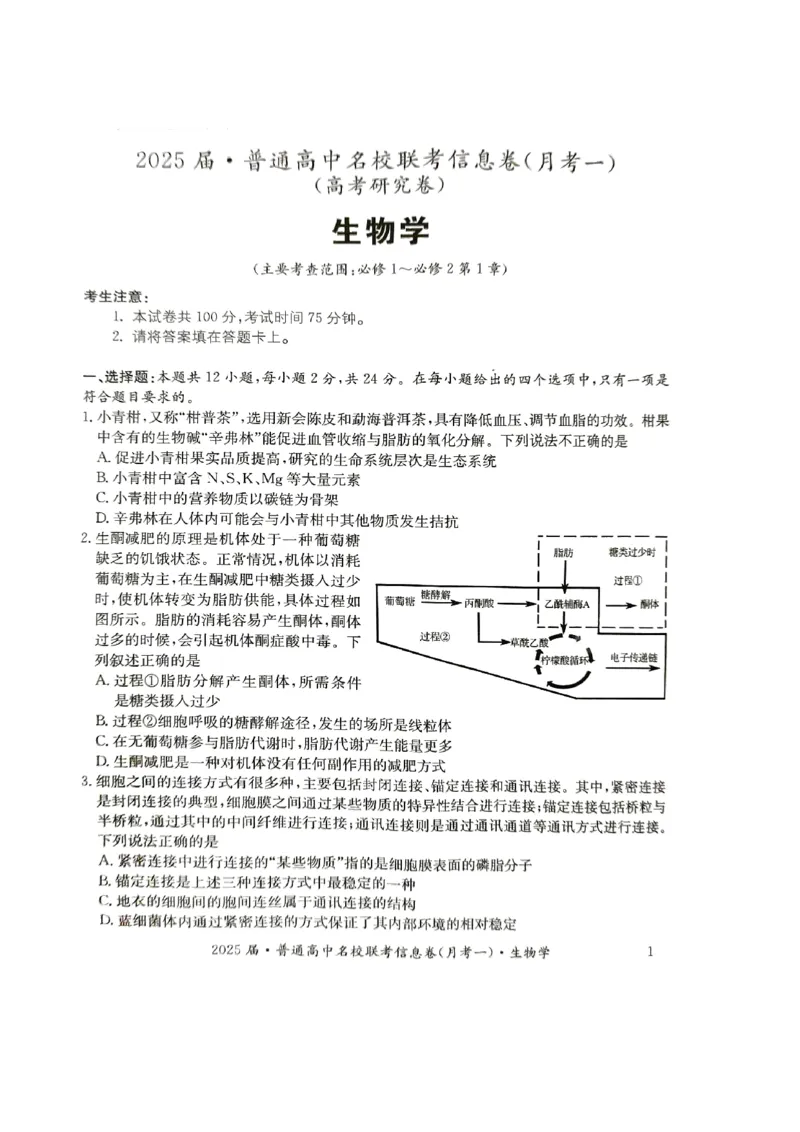湖南省娄底市名校联考11月信息卷（月考一）生物_2024-2025高三（6-6月题库）_2024年11月试卷_1113湖南省娄底市名校联考2024-2025学年高三上学期月考（一）（全科）