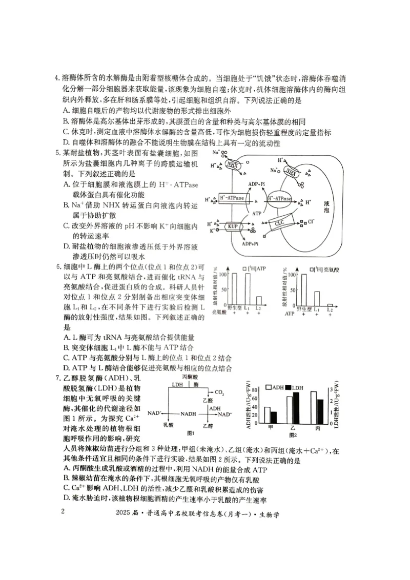 湖南省娄底市名校联考11月信息卷（月考一）生物_2024-2025高三（6-6月题库）_2024年11月试卷_1113湖南省娄底市名校联考2024-2025学年高三上学期月考（一）（全科）