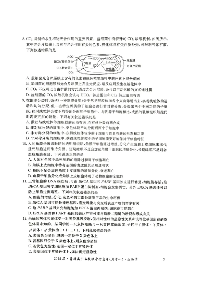 湖南省娄底市名校联考11月信息卷（月考一）生物_2024-2025高三（6-6月题库）_2024年11月试卷_1113湖南省娄底市名校联考2024-2025学年高三上学期月考（一）（全科）