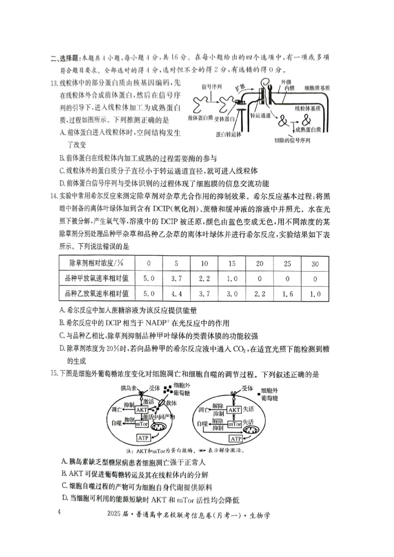 湖南省娄底市名校联考11月信息卷（月考一）生物_2024-2025高三（6-6月题库）_2024年11月试卷_1113湖南省娄底市名校联考2024-2025学年高三上学期月考（一）（全科）